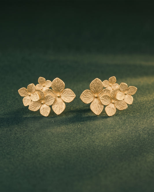 Inflorescence d'Hortensias